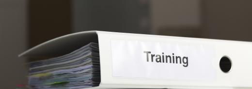 In some companies, a documentation manager will play a role in creating training manuals.