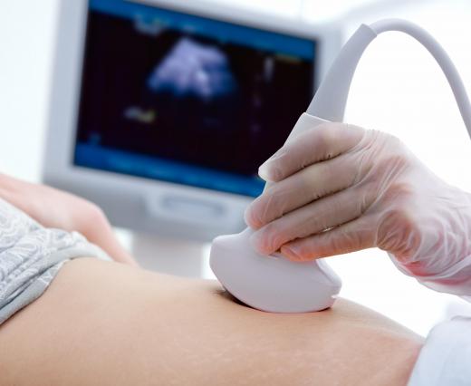 Ultrasound technology can be used to find problems in the kidneys, thyroid and many other organs.