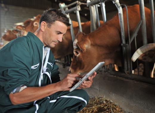 Ranches and dairy farms usually have veterinarians on call.