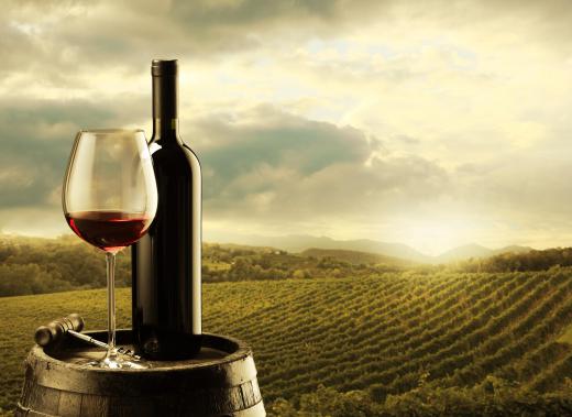 Wine distributors must first learn about wine production and making.