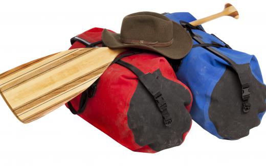 A camp counselor might lead a group on a canoe trip.