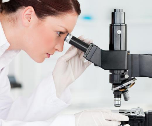 A histology technician creates slide presentations of diseased cells and tissues for microscopic examination.