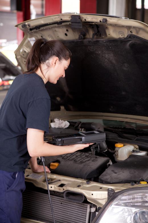 Oil Change in Grande Prairie