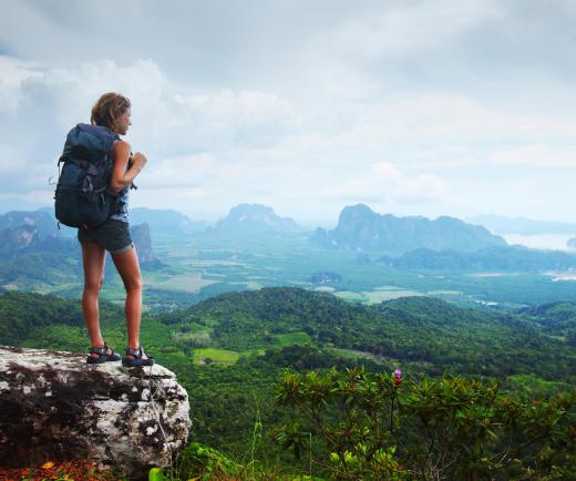 Park naturalists may lead hikes through scenic areas.