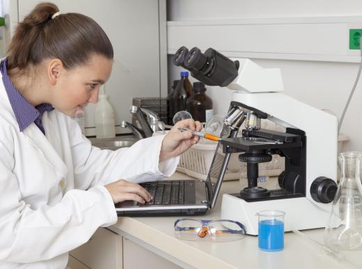 A biology professor typically spends at least some of his time conducting field-related research.