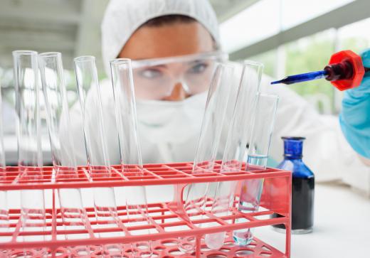 Graduates who enjoy working in labs may choose to pursue a career in chemical analysis.