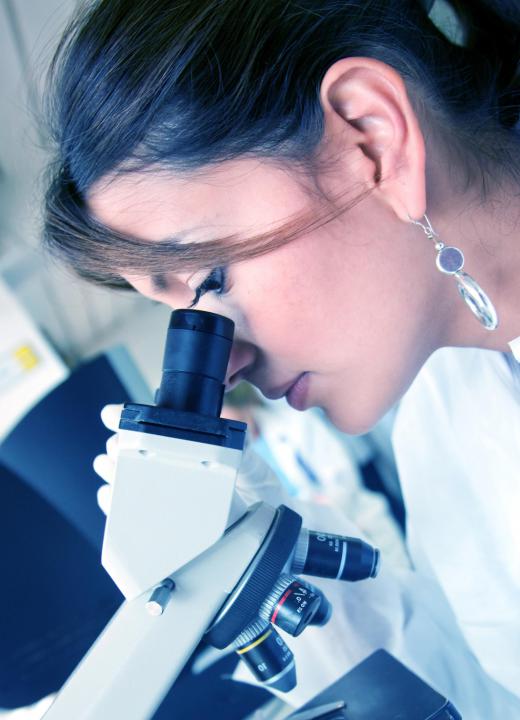 Working in a medical lab is one available opportunity with the appropriate health sciences degree.