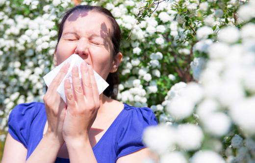 An immunologist may study what causes the symptoms associated with seasonal allergies.