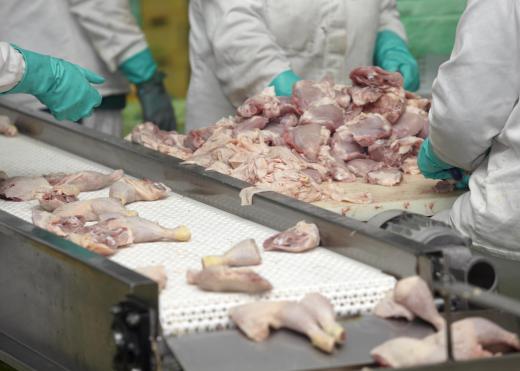 Some poultry researchers work to develop safe processing techniques.