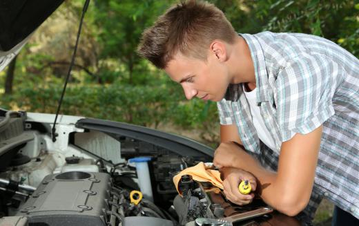 A mechanic apprentice may work in the automotive industry.